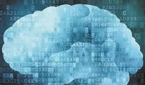企业的官网，每一个网页页面应当置放哪些内容