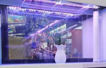 高端品牌秋葵视频IOS下载安装IOS的专业指南